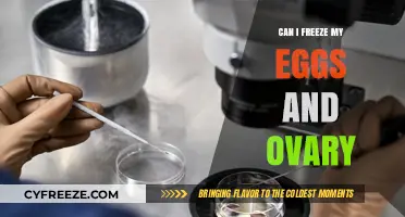 Egg and Ovary Freezing: Preserving Fertility Options for the Future