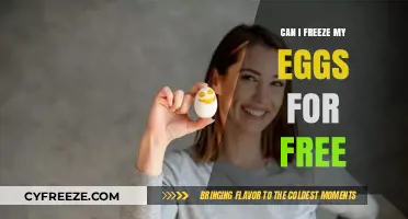 Freezing Eggs for Free: Exploring Affordable Fertility Preservation Options