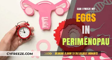 Freezing Eggs During Perimenopause: Options, Challenges, and Success Rates