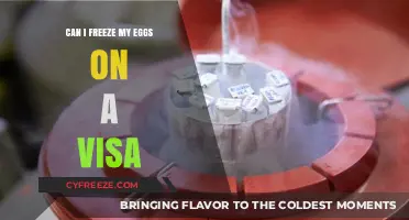 Freezing Eggs on a Visa: What You Need to Know