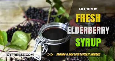Preserving Nature's Bounty: A Guide to Freezing Fresh Elderberry Syrup