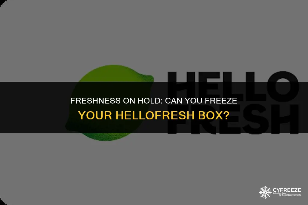 can i freeze my hello fresh box