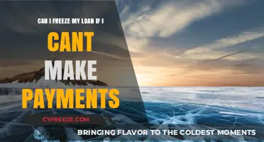 Navigating Financial Hardship: Can You Freeze Your Loan Payments?