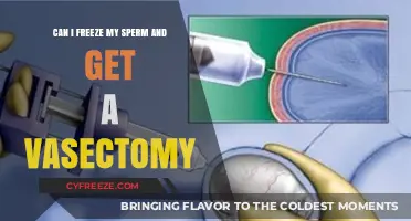 Freeze Sperm, Get Vasectomy: Balancing Fertility and Family Planning