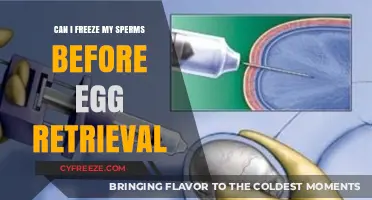 Freezing Sperm Before Egg Retrieval: What You Need to Know