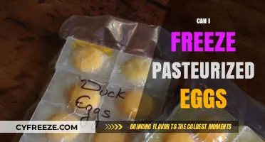 Freezing Pasteurized Eggs: A Complete Guide to Storage and Safety