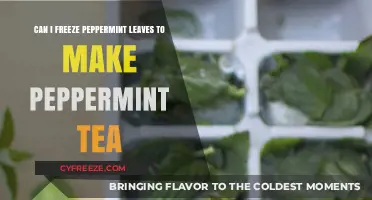 Preserving Freshness: Freezing Peppermint Leaves for Tea