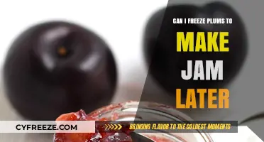 Preserving Summer's Bounty: Freezing Plums for Future Jam-Making