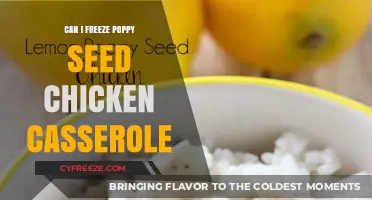 Freezing Poppy Seed Chicken Casserole: A Handy Guide