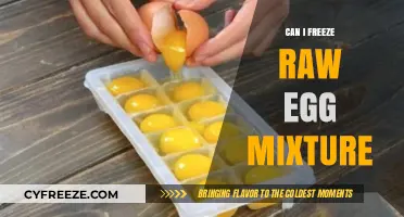 Freezing Raw Egg Mixture: Tips, Safety, and Best Practices