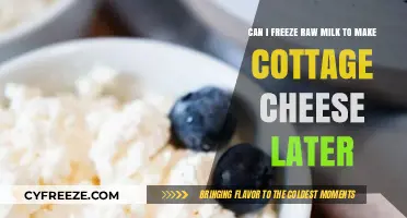 From Freezer to Farmhouse: Transforming Raw Milk into Cottage Cheese