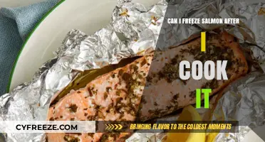 Savoring Salmon: The Do's and Don'ts of Freezing Cooked Fish