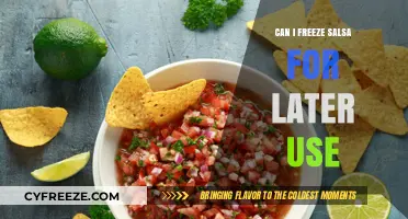 Freezing Salsa: A Handy Guide to Preserve Your Favorite Dip