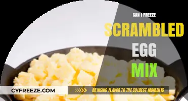 Freezing Scrambled Egg Mix: A Time-Saving Breakfast Hack Explained