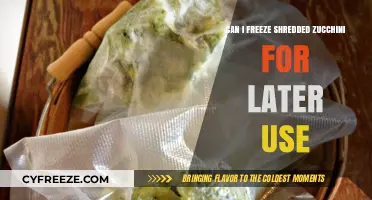 Freezing Shredded Zucchini: A Handy Guide for Later Use