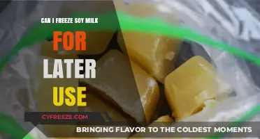 Freezing Soy Milk: A Guide to Preserving Your Plant-Based Milk