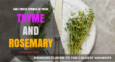 Herb Preservation: Freezing Fresh Thyme and Rosemary Springs