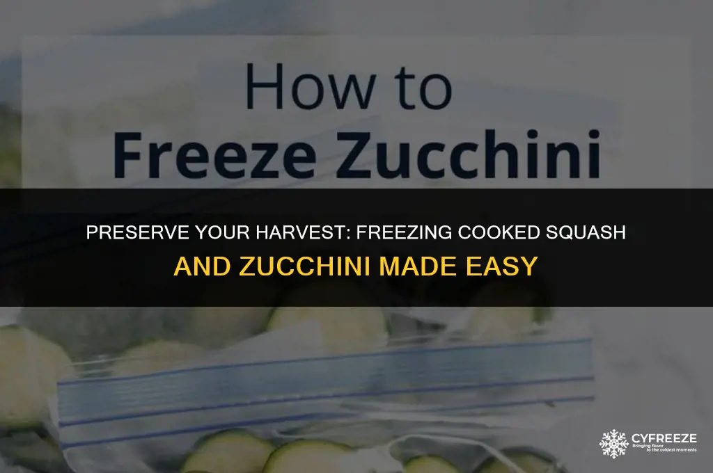 can i freeze squash and zucchini after cooking