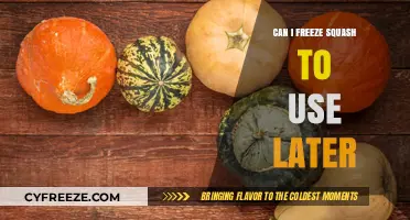 Freezing Squash: A Simple Guide to Preserve for Later Use