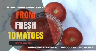 From Fresh to Frozen: A Guide to Freezing Stewed Tomatoes