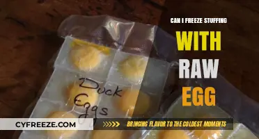 Freezing Stuffing with Raw Eggs: Safe Practices and Tips