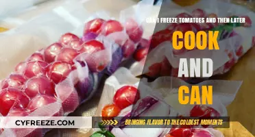 From Freezer to Can: The Ultimate Guide to Preserving Tomatoes