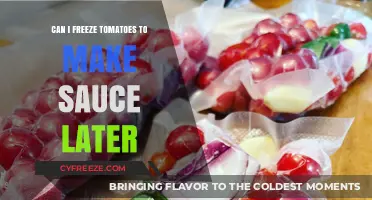 Freezing Tomatoes: A Simple Guide to Making Sauce Later