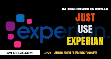 Freeze TransUnion and Equifax: Should You Rely on Experian Alone?