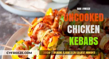 From Grill to Freeze: The Ultimate Guide to Chicken Kebab Preservation