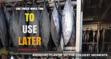 Freezing Whole Tuna: A Guide to Safe Storage and Later Use