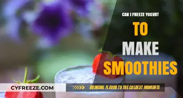 Yogurt Freezing Hacks: Smoothies Made Easy and Nutritious