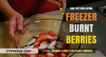 Are Freezer-Burnt Berries Safe to Eat? Health Risks Explained