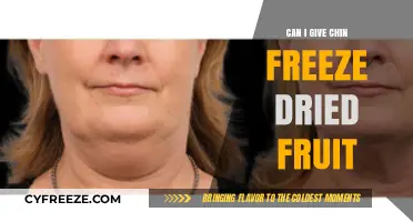 Can I Give My Chin Free Dried Fruit: A Nutritional Guide