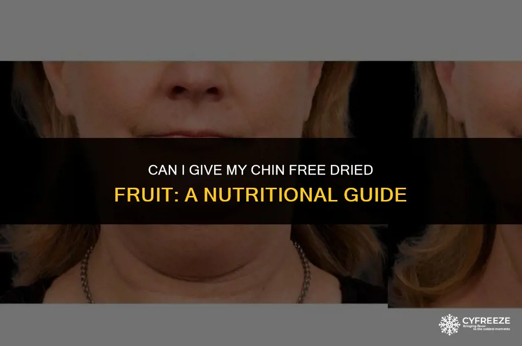 can i give chin freeze dried fruit