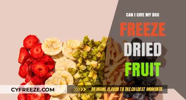 Can Freeze-Dried Fruit Be a Healthy Treat for My Dog?