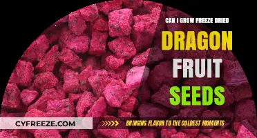 Reviving Freeze-Dried Dragon Fruit Seeds: A Growth Guide