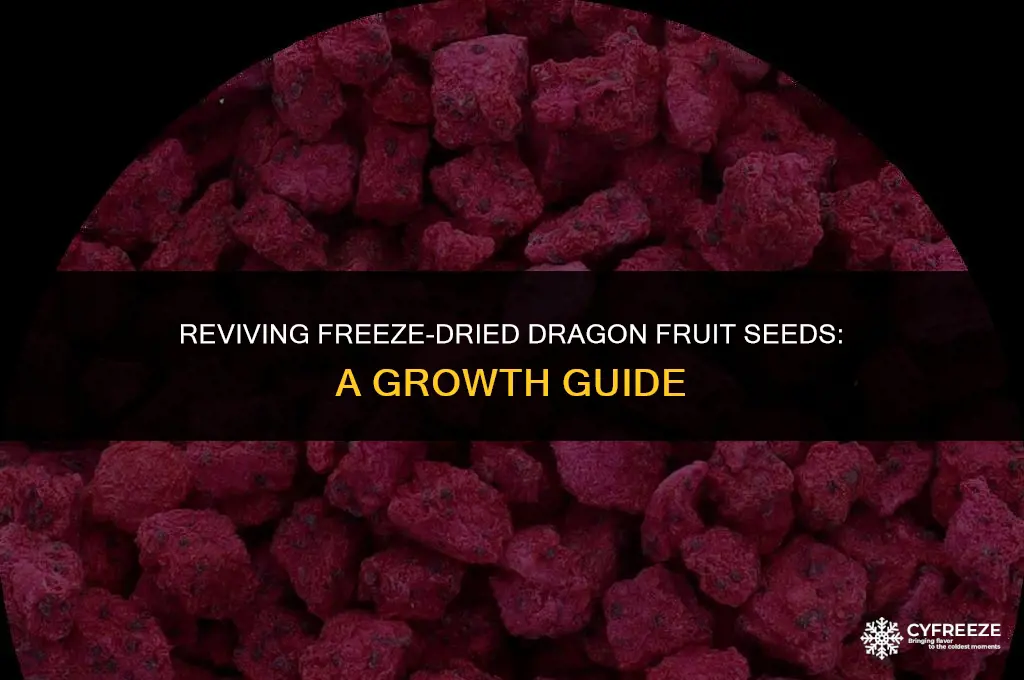 can i grow freeze dried dragon fruit seeds