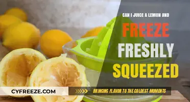 Preserve the Zing: Freezing Freshly Squeezed Lemon Juice