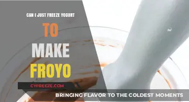 From Yogurt to Froyo: A Simple Guide to Freezing Your Favorite Dairy Delight