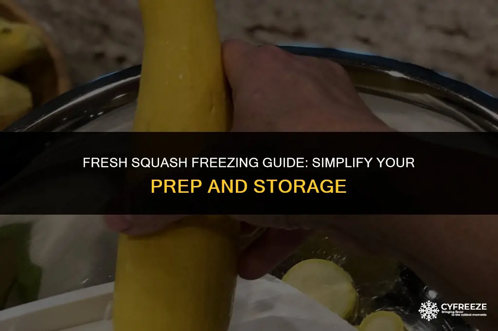 can i just slice fresh squash and freeze it