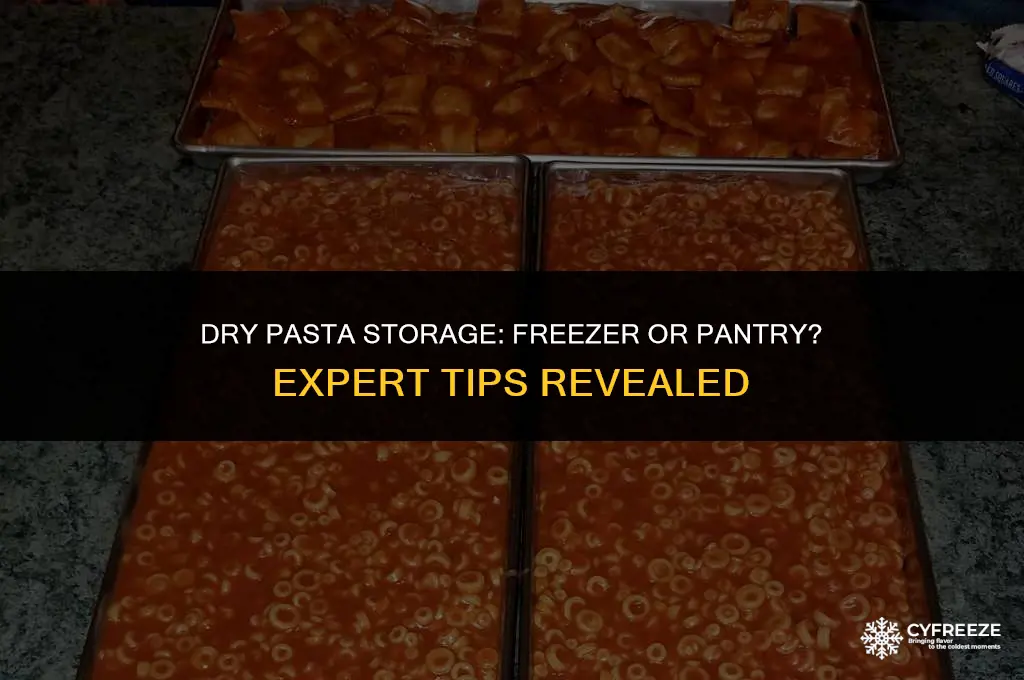 can i keep dry apsta in the freezer