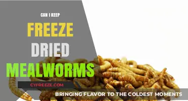 Sustainable Snacking: The Surprising Shelf Life of Freeze-Dried Mealworms