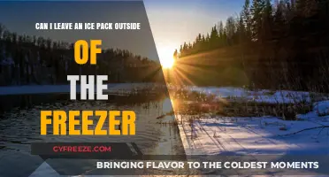 Safe Thawing: Can You Leave an Ice Pack Outside the Freezer?