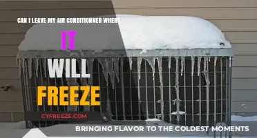 Winterizing Your AC: Can You Leave It Where It Will Freeze?