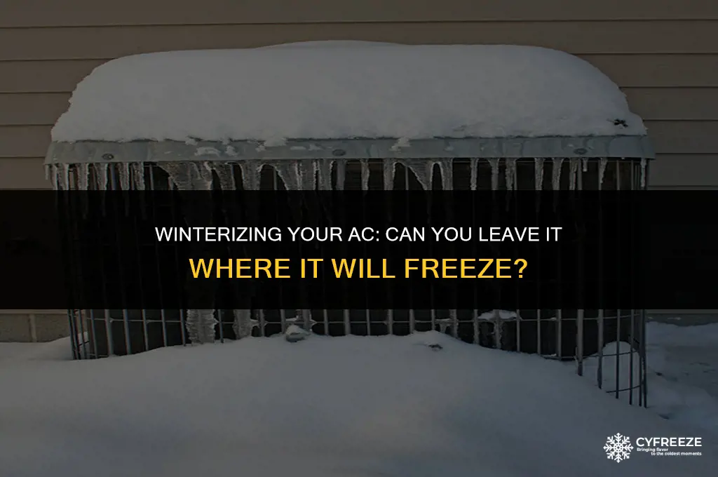 can i leave my air conditionner where it will freeze