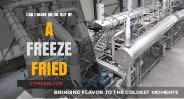 Exploring the Possibilities: Can Freeze-Fried Foods Be Transformed into Oil?