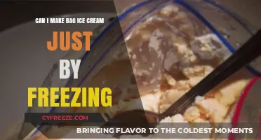 From Liquid to Scoop: The Simple Art of Homemade Bag Ice Cream