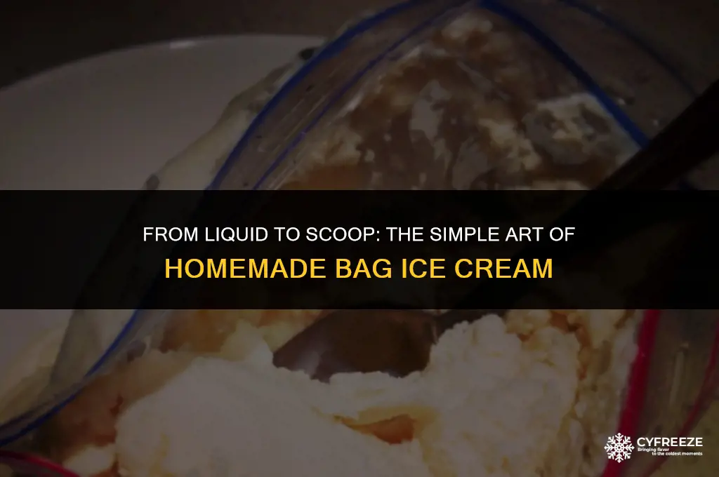 can i make bag ice cream just by freezing