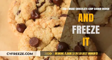 Sweet Success: Freezing Chocolate Chip Cookie Dough for Later