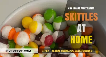 Homemade Freeze-Dried Skittles: A Fun and Tasty DIY Project